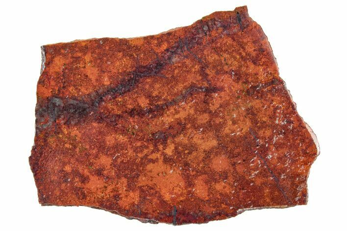 Vibrant Sonora Sunset (Chrysocolla Cuprite) Slab - Mexico #323906